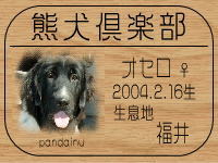 �P���V���E�o����̂g�o�ւf�n�I